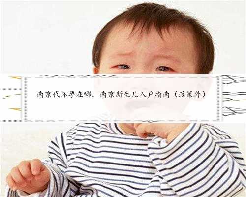 南京代怀孕在哪，南京新生儿入户指南（政策外）